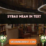 sybau mean in text