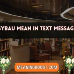 sybau mean in text message
