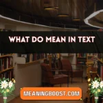 what do mean in text