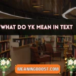 what do yk mean in text