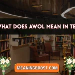 what does awol mean in text