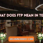 what does ftp mean in text