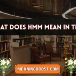 what does hmm mean in text