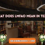 what does lmfao mean in text