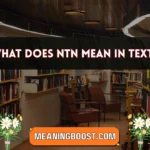 what does ntn mean in text