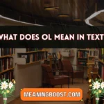 what does ol mean in text