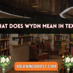 what does wydn mean in text