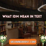 what idm mean in text
