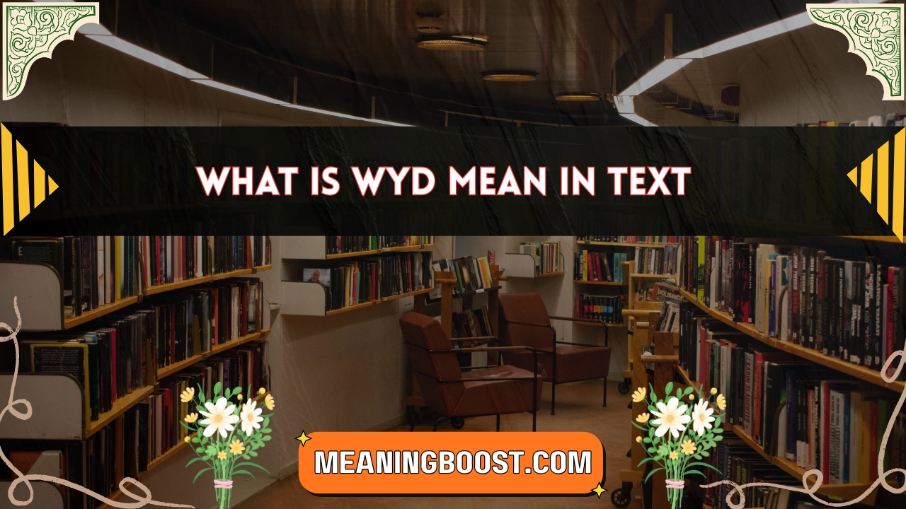 what is wyd mean in text