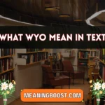what wyo mean in text