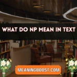 what do np mean in text