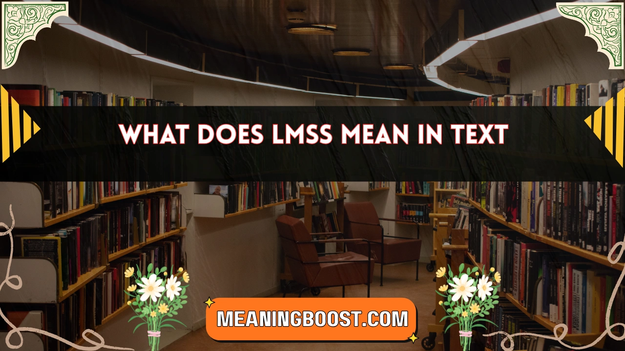 what does lmss mean in text