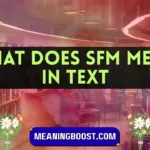 what does sfm mean in text