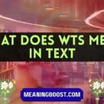 what does wts mean in text
