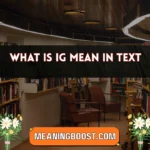 what is ig mean in text
