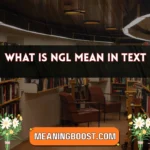 what is ngl mean in text