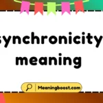 synchronicity meaning