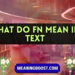 what do fn mean in text