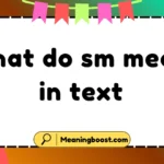 what do sm mean in text