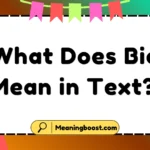 What Does Bio Mean in Text?