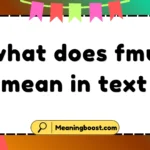 what does fmu mean in text