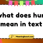 what does hun mean in text