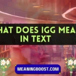 what does igg mean in text