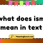 what does ism mean in text