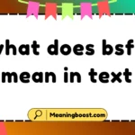 what does bsfs mean in text