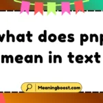what does pnp mean in text