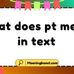 what does pt mean in text