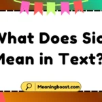 what does sic mean in text