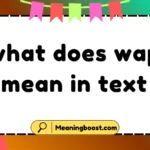 what does wap mean in text