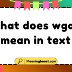 what does wgat mean in text