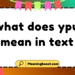 what does ypu mean in text