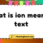what is ion mean in text