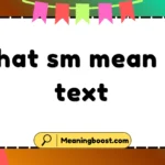 what sm mean in text