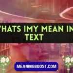 whats imy mean in text