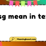 wsg mean in text
