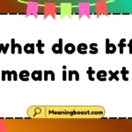 what does bff mean in text