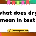 what does dry mean in text