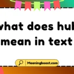 what does hub mean in text
