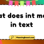 what does int mean in text