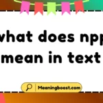 what does npp mean in text