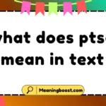 what does ptsd mean in text