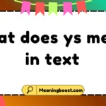 what does ys mean in text
