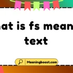 what is fs mean in text