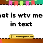 what is wtv mean in text