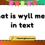what is wyll mean in text