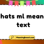 whats ml mean in text